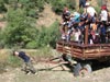 summer camp activities