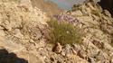 Chimgan Mountaineering Chimgan Mountains Chimgan Mountaineering Chimgan Mountains