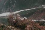 May Alpiniad in Chimgan mountains May Alpiniad in Chimgan mountains