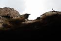 Chimgan Trekking Chimgan Mountains