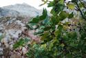 Chimgan Trekking Chimgan Mountains