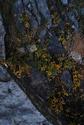 Chimgan Trekking Chimgan Mountains