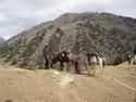 Kyrgyzstan Mountaineering