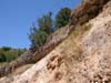 pictures of tien shan