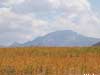 uzbekistan mountains