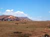 horse pasture