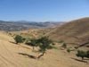 Uzbekistan nature photography