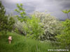 Mountain photography