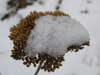 nature pictures