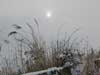 nature pictures