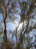nature pictures