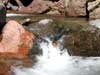 nature pictures