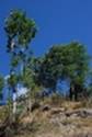 Fann Mountains Mountaineering