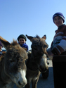 Pamir Mountains Mountaineering
