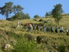 Rock Climbing in Uzbekistan