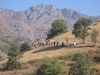 Rock Climbing in Uzbekistan