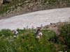 Uzbekistan Walking Tours