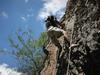 Uzbekistan rock climbing