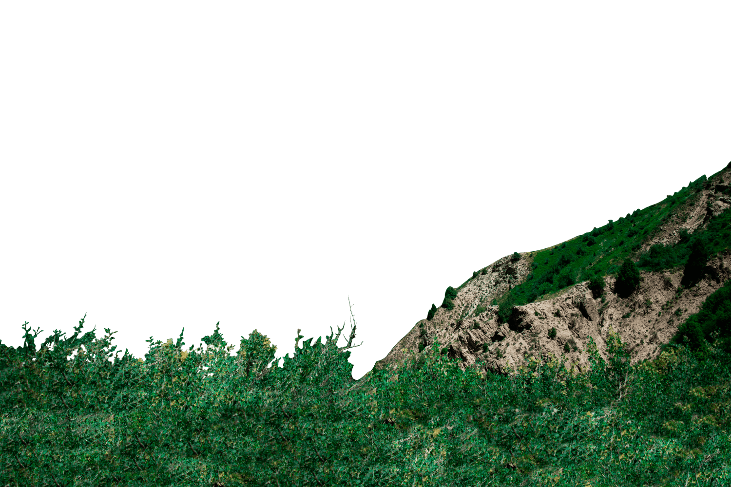 Горы Чимгана